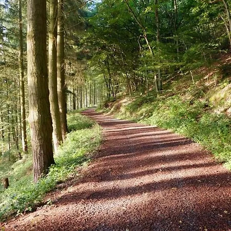 Traumblick Im Nahetal * Bärenbach