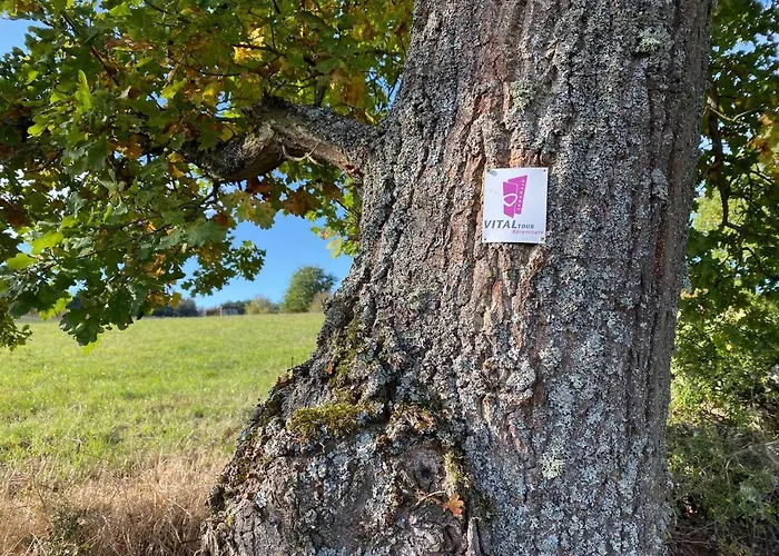 Naheliebe Im Hunsrueck & Naheland Apartamento