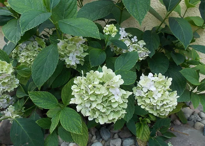 Naheliebe Im Hunsrueck & Naheland Apartamento *